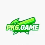 pk6