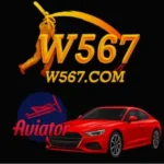 w567 Game